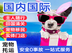 黄山屯溪机场物流国际宠物托运 【国